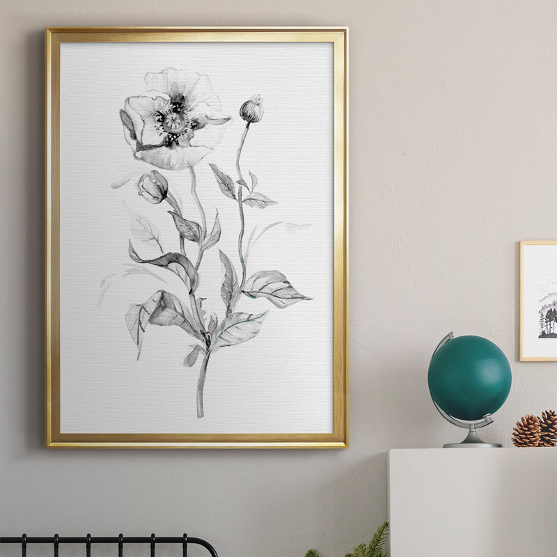 Croquis de coquelicot sauvage, impression de qualité supérieure - prêt à être accroché, Or, H 42,5 po x l 30,5 po x P 1 po
