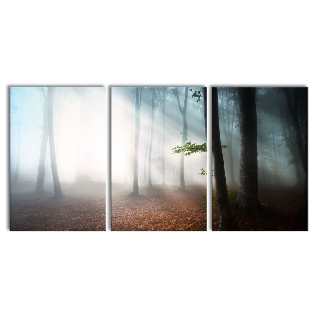 3-tlg. Leinwandbilder-Set Dark Misty Forest