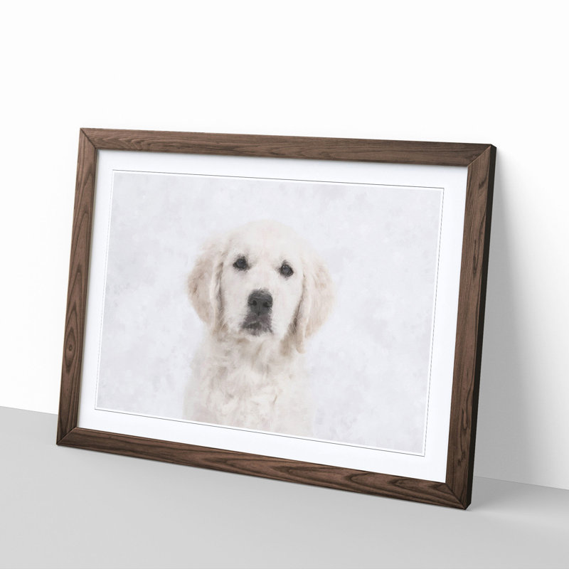Golden Retriever Puppy - Picture Frame Graphic Art Print, 24cm H x 33cm W x 2cm D, Walnut Framed