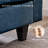 Kurumi Upholstered U-Shaped Sectional with Ottoman Symmetrical-406233227