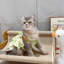 Canapé pour chat Sisal Scratching