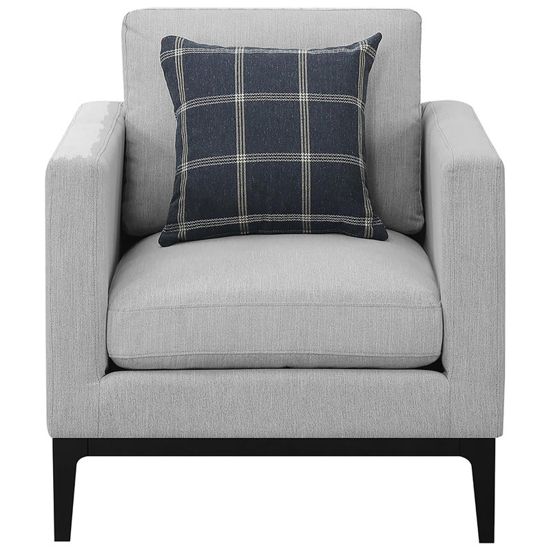 Chaise grise pour les loisirs - Coussins moelleux et coussin de dossier élégant procurant une atmosphère relaxante