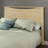 Jayre Headboard-1421006423-1421006417