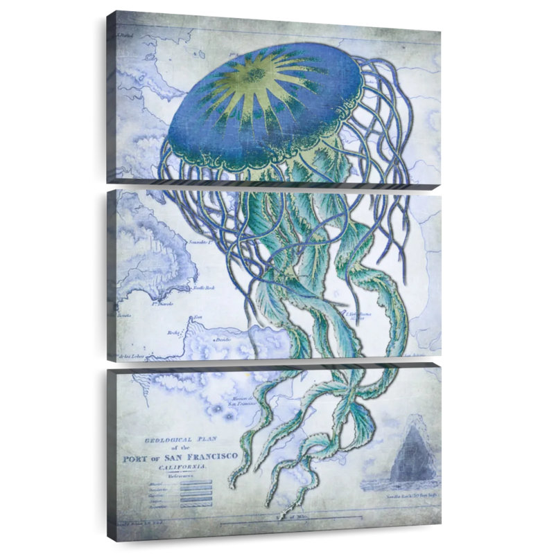 Brampt Jellyfish sur l'image d'une carte nautique, H 32 po x l 20 po