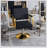 Hydraulic Salon Chair - 360° Swivel Barber Stylist Chair With Pump, Non-Tilting Hairdressing Chair For Professional Use
