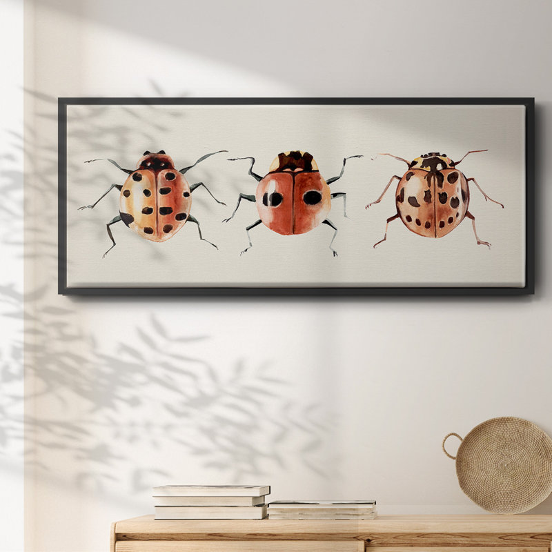 Coccinelle, H 8 po x l 20 po