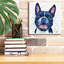 Art mural sur toile Winston Porter «Rainbow Dogs Boston Terrier» par Lindsay Kivi-16774938