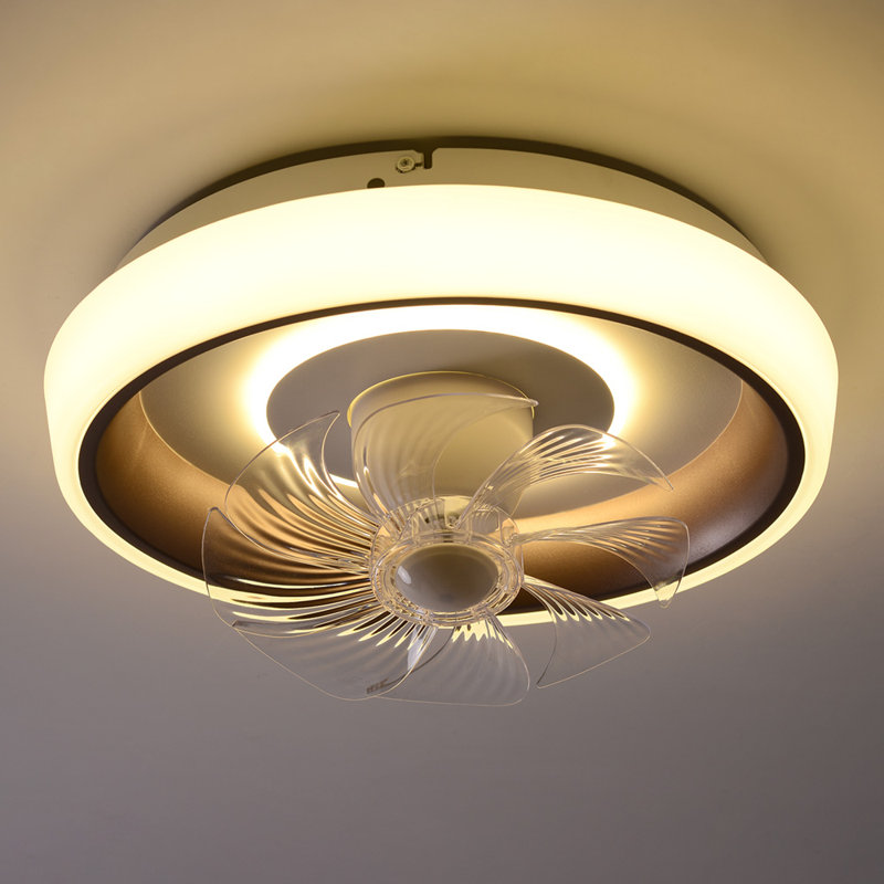 Ceiling Fan with LED Lights