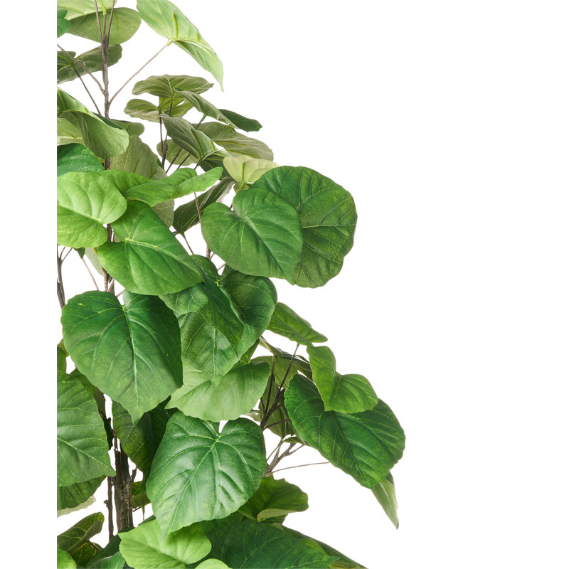 160cm Faux Ficus Tree in Pot