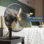 Russell Hobbs RHMDF1201WDW 12" White Scandi Style Desk Fan-103023922
