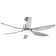 Reversible Ceiling Fan With Light