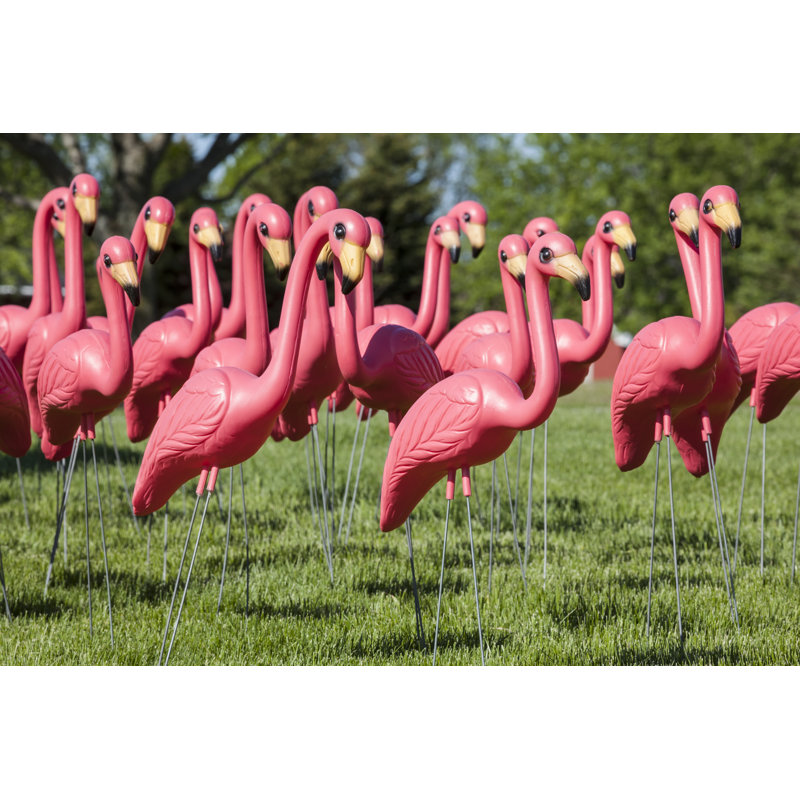 Flamants roses en plastique par Jamesbrey, H 8 po x l 12 po