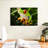 Brampt Tree Frog-107850619