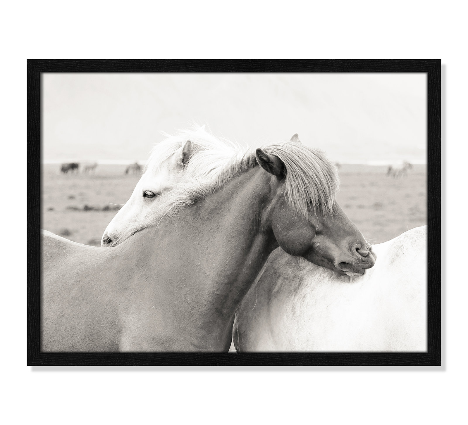 Melanie "Icelandic Meadow Horses" Print, 17" H x 23" W x 0.75" D, Black Wood Grain Framed