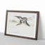 Common Crane by Numata Kashu - Picture Frame Painting Print-55686466-55686465