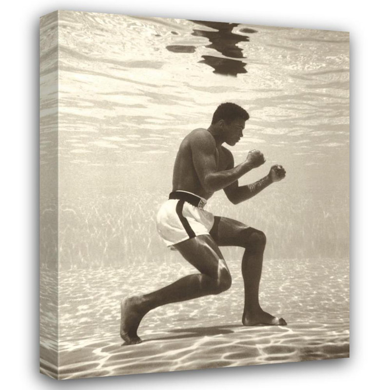 Muhammad Ali, H 18 po x l 14 po