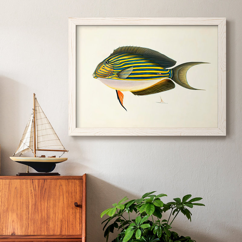 «Tropical Fish Collection I», reproduction sur toile, Blanc, H 28 po x l 42 po