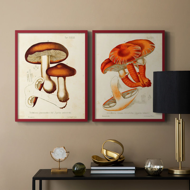 «Mushroom Variétés VI», reproduction encadrée de qualité supérieure - prête à être accrochée - aucun clou requis - aucun clou requis