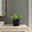 Brodie Ceramic Pot Planter-1706521513-1706521512-1666321339