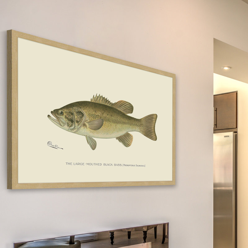 «Large Black Bass», reproduction encadrée, H 24 po x l 36 po x P 1,5 po