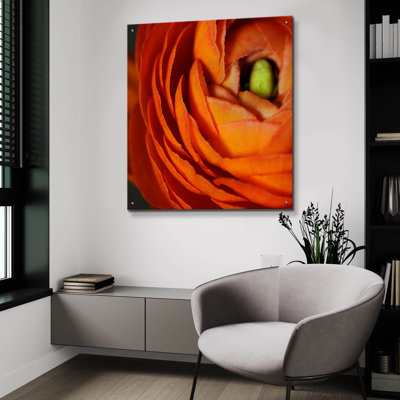 «Orange Flower Close Up» par Tom Quartermaine