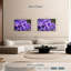 Violet iris-1371200659-1371200660