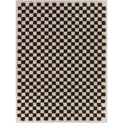 Tapis à poils longs Wingate