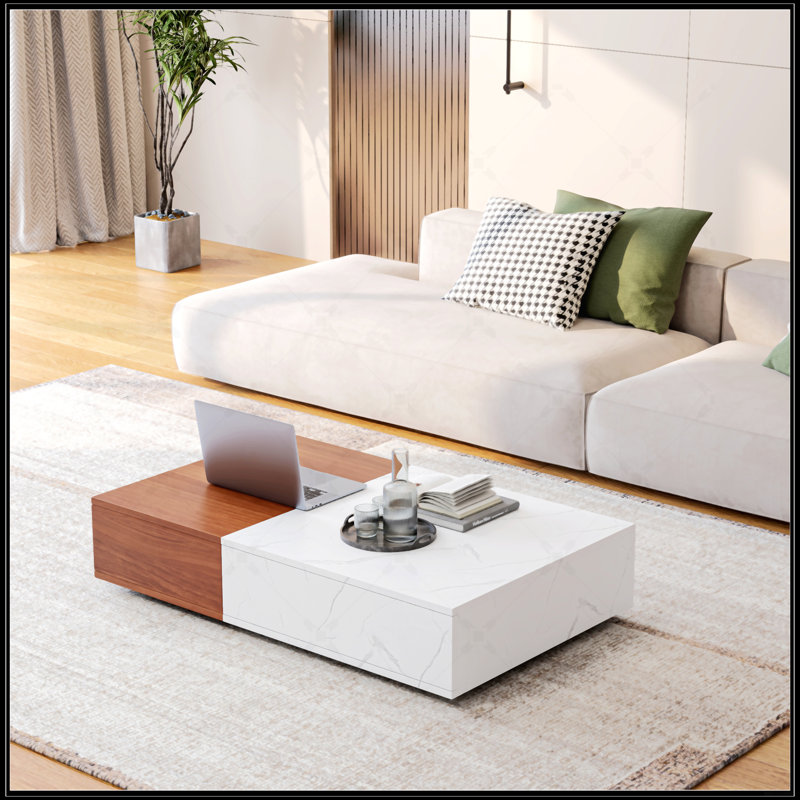 Table basse de style moderne avec deux espaces de rangement