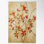 'Delight I et II de l'automne »par Nan F 2 Piece Encadrée Estampe sur Enveloppé Set Toile