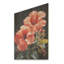 Hibiscus tropical - rose-10414358