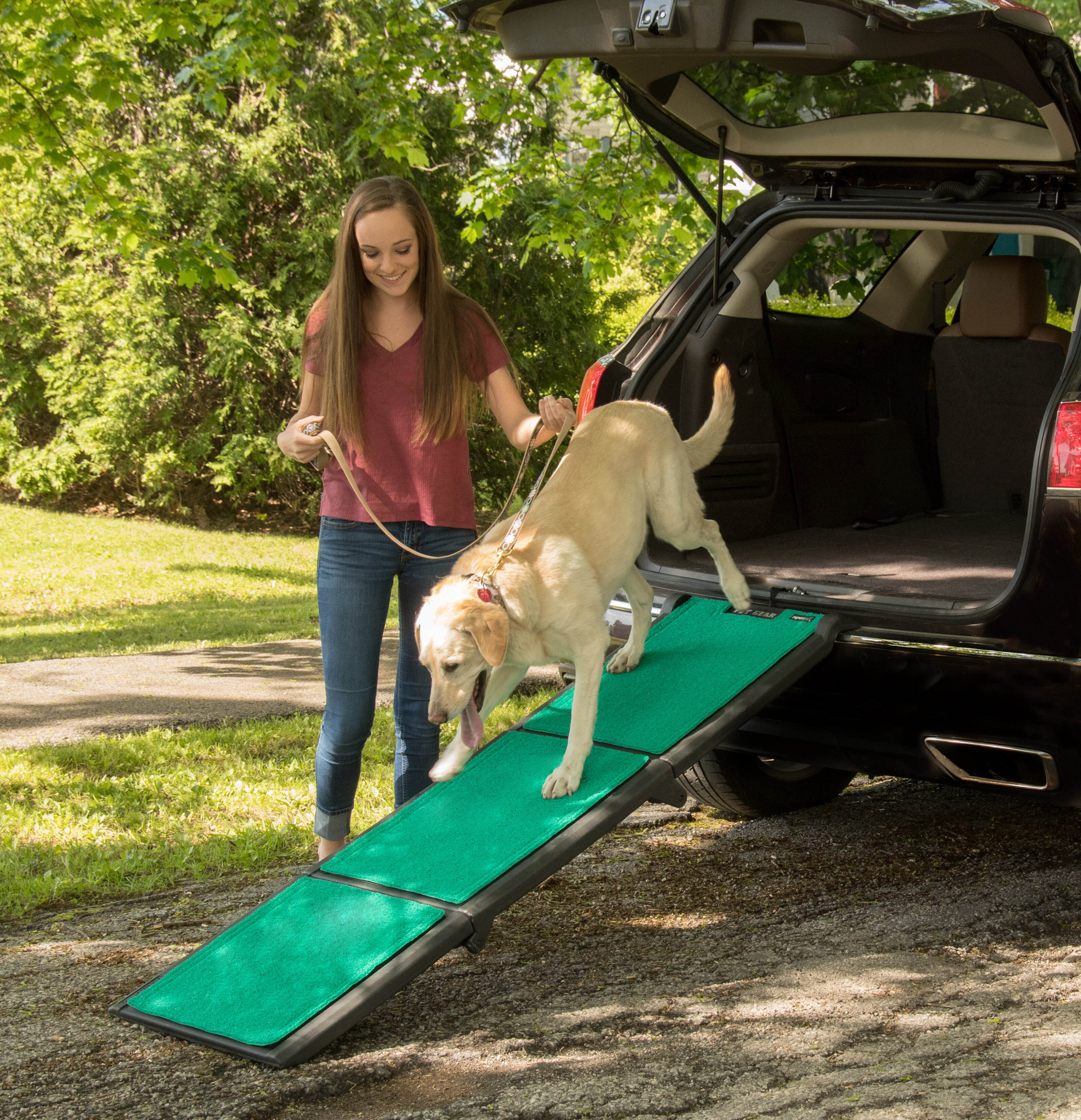 Supertrax dog cheap ramp