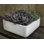 Geo Planter