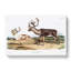 Caribou by J.W. Audubon - Wrapped Canvas-55316670