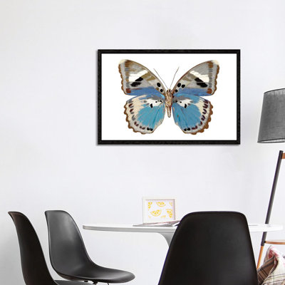 Butterfly In Pink I 1 Piece Wall Art on Canvas