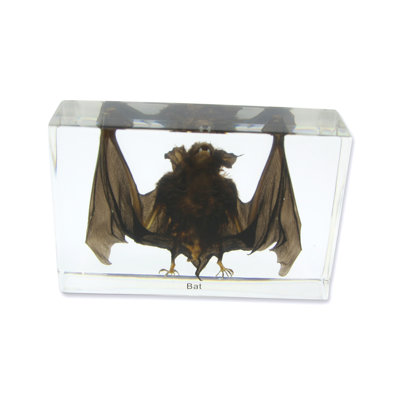 Quast Animals Figurines & Sculptures