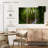Alvord Mystic Tropical Forest-107970229