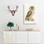 Boreal Owl by Von Wright - Wrapped Canvas-55362363