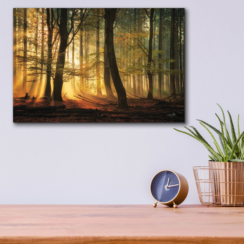  «Autumn Light» par Martin Podt, art mural en verre acrylique, 16 po x 12 po