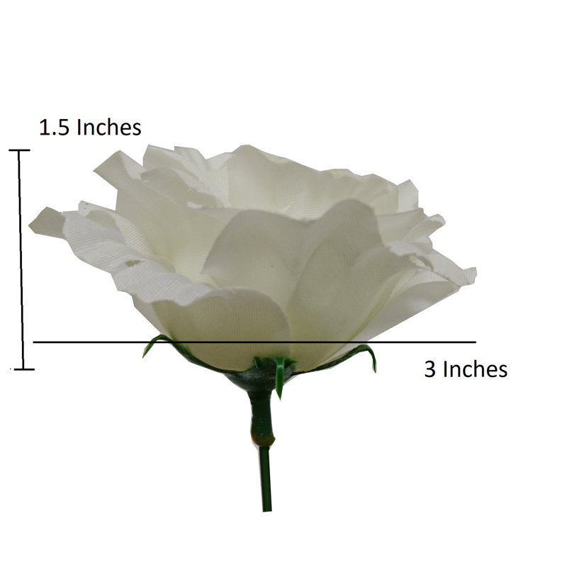 18 fleurs roses en pleine floraison, Crème