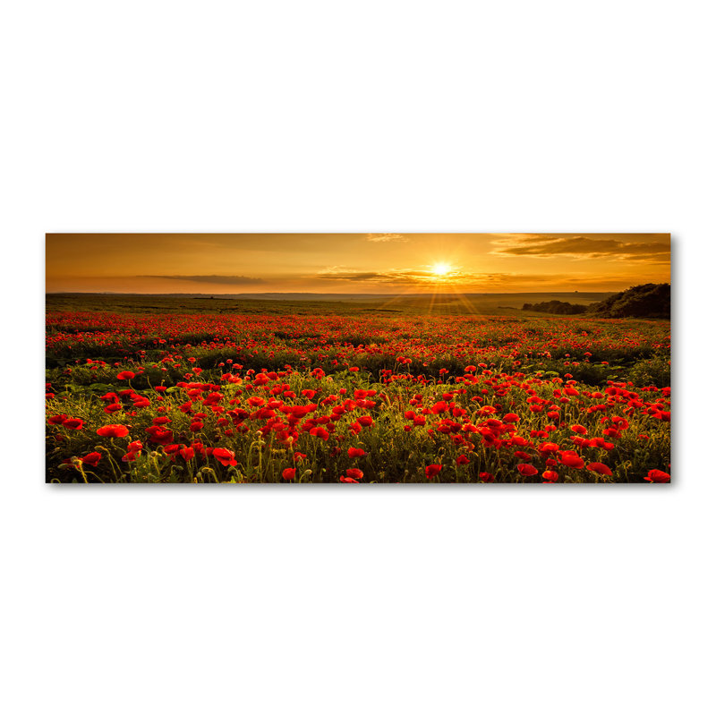 Field Of Poppies - Wrapped Canvas Print