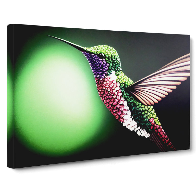 Bold Hummingbird - Wrapped Canvas, 40cm H x 60cm W x 3cm D
