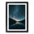 Black Framed selected