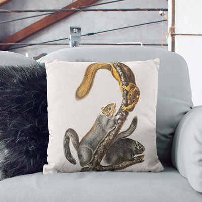 Square Cushion