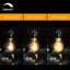 60 watts, ampoule A19 à intensité variable, culot E26 / moyen (standard)