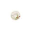 Brillance Fleurs Sauvages Bone China Saucer