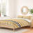 Allyson Johnson Polyester Striped Duvet Cover-19621860