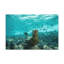 No Frame Print on Canvas-100039495