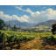 Napperon Exotic Farm