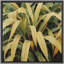 Impression sur toile de décorations murales encadrées botaniques-109881688-109881690