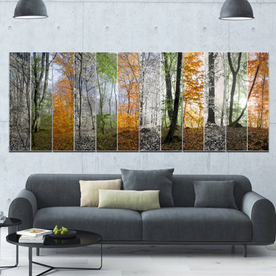 " Wood Panorama Changing Seasons "